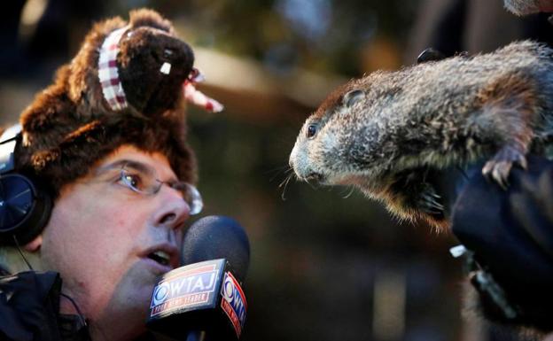 La marmota Phil estira el invierno