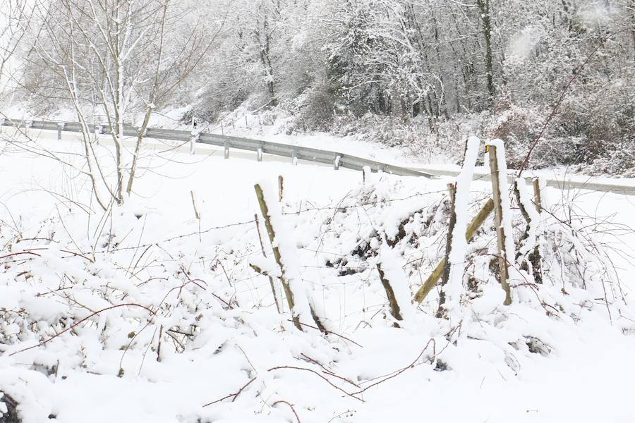 Diversión e inconvenientes. La nieve en Álava no siempre cae a gusto de todos