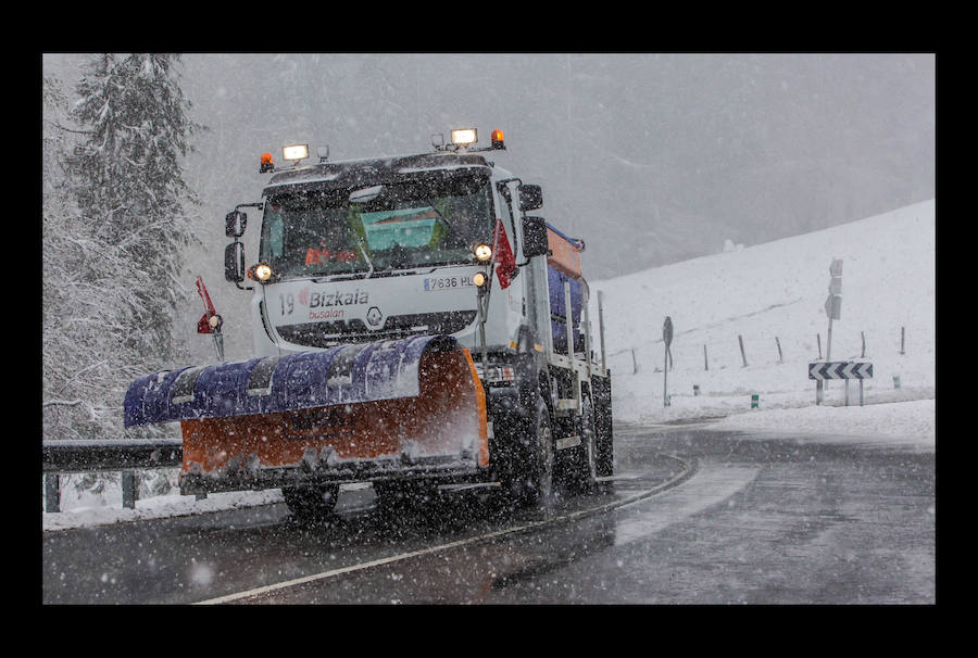 Se esperan precipitaciones entre los 100 y los 300 metros y de forma transitoria al nivel del mar.