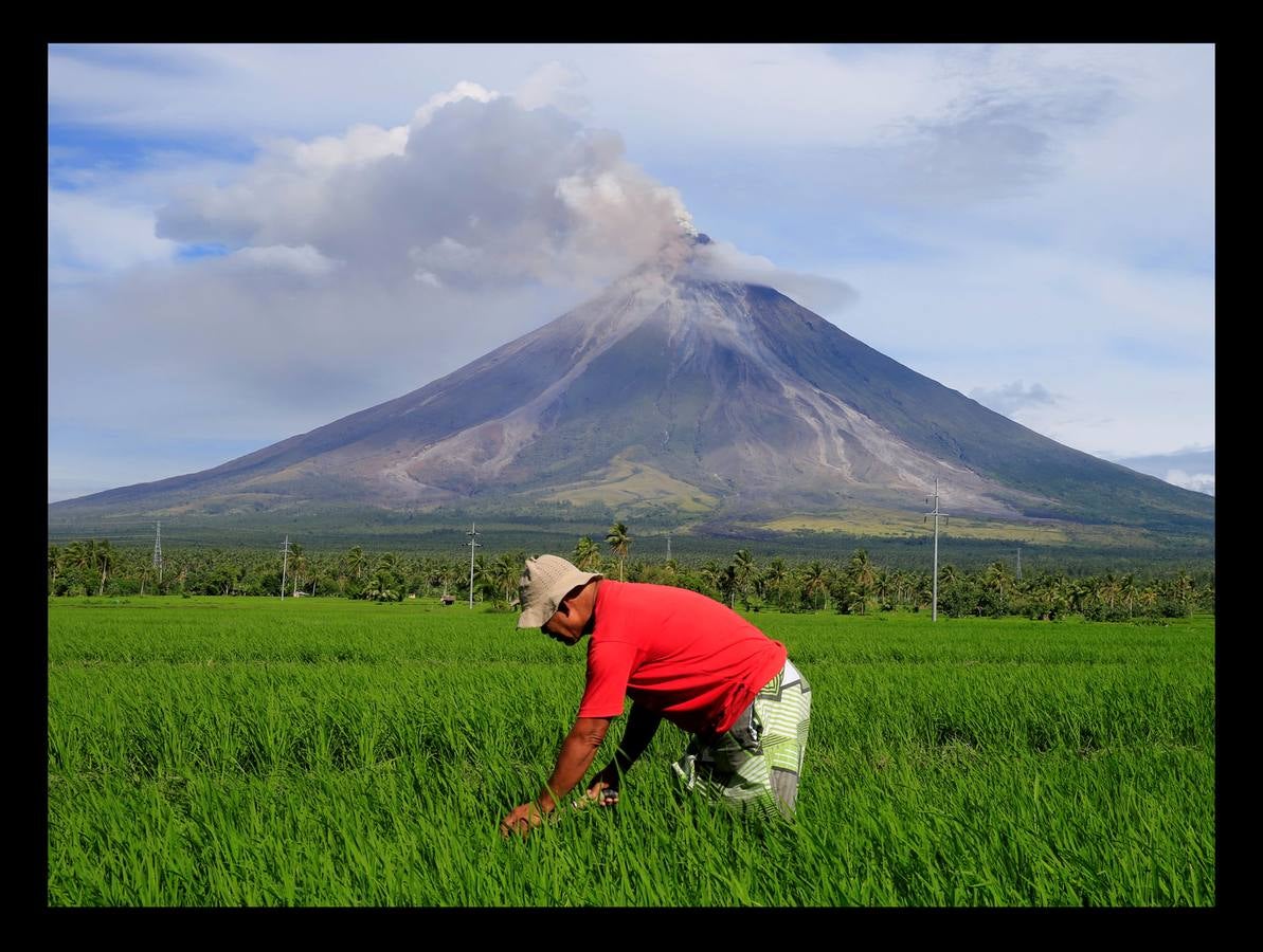 Alrededor de 70.000 personas han tenido que ser evacuadas desde que hace tres semanas el volcán Mayón, el más activo de Filipinas, entrara en erupción. El cráter, situado a 2.421 metros sobre el nivel del mar, se encuentra al norte de la ciudad de Legazpi, al sur de Manila. Las intensas expulsiones de magma produjeron columnas de cenizas y gases que superan el kilómetro de altura y han formado ríos de lava de más de 3 kilómetros de longitud desde la boca del volcán. Las autoridades mantienen la alerta. Se teme una explosión peligrosa en las próximas horas o días