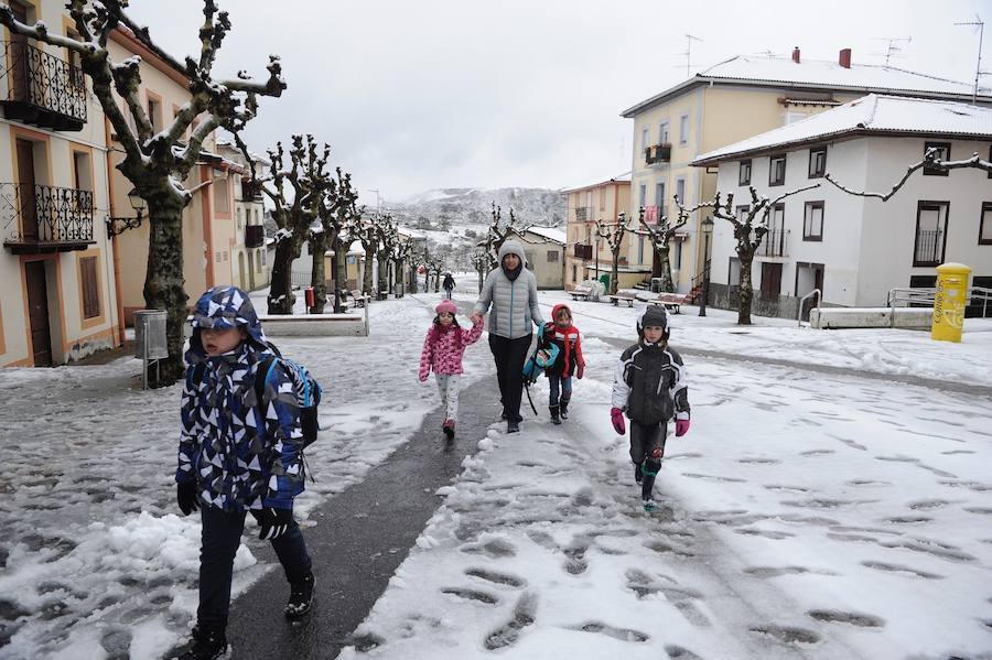 La Arboleda y Munitibar, cubiertos por la nieve