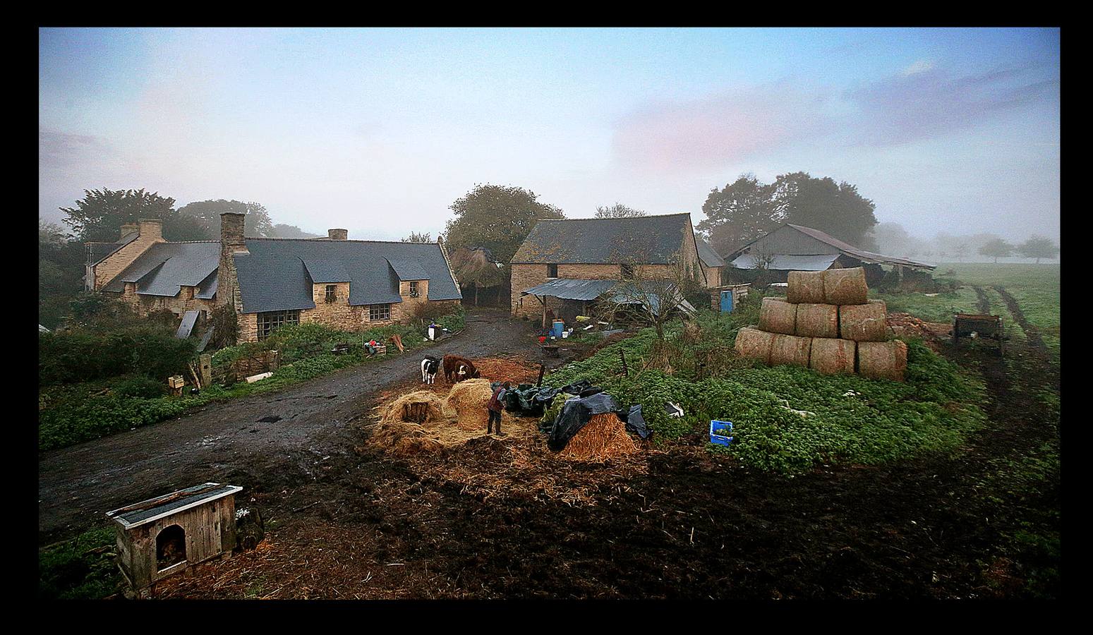 Cuando la maquinaria agrícola revolucionó la agricultura francesa en los años posteriores a la Segunda Guerra Mundial, un joven Jean-Bernard Huon le dio la espalda a la nueva tecnología. Medio siglo después, en su destartalada granja de Riec-sur-Belon, en un rincón del sur de Bretaña, Jean-Bernard -70 años y una barba muy blanca- todavía usa bueyes para arar sus campos, ordeña sus ocho vacas, muele la harina a mano y recoge incansable el estiércol para fertilizar los cultivos que alimentan a su ganado. "Soy un extraño feliz", dice Huon en la granja donde vive sin agua caliente: "Nunca he sido rico, pero ¿qué me importa?".
