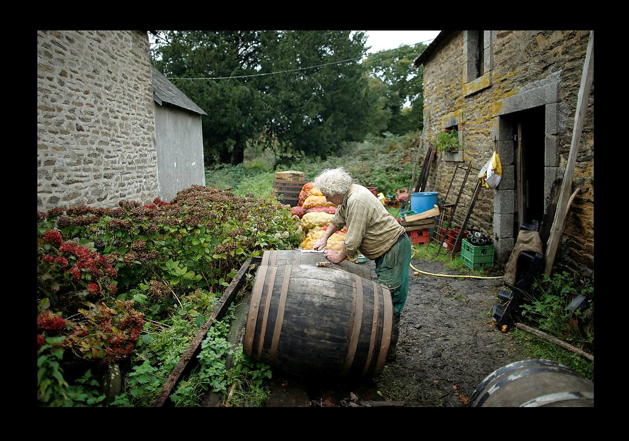 Cuando la maquinaria agrícola revolucionó la agricultura francesa en los años posteriores a la Segunda Guerra Mundial, un joven Jean-Bernard Huon le dio la espalda a la nueva tecnología. Medio siglo después, en su destartalada granja de Riec-sur-Belon, en un rincón del sur de Bretaña, Jean-Bernard -70 años y una barba muy blanca- todavía usa bueyes para arar sus campos, ordeña sus ocho vacas, muele la harina a mano y recoge incansable el estiércol para fertilizar los cultivos que alimentan a su ganado. "Soy un extraño feliz", dice Huon en la granja donde vive sin agua caliente: "Nunca he sido rico, pero ¿qué me importa?".
