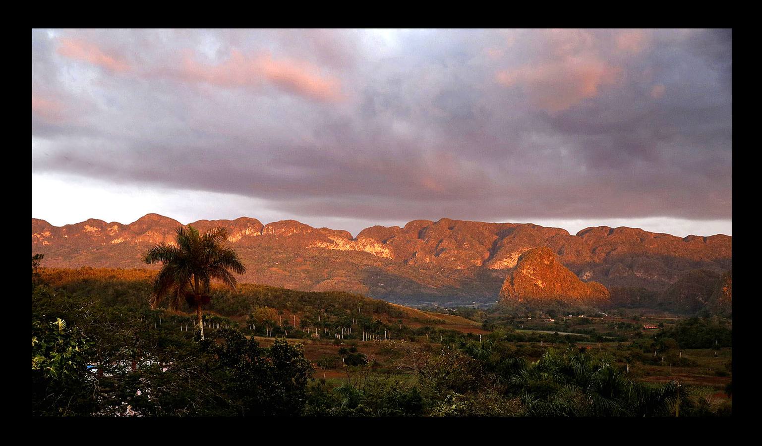 El ocre, el verde y el azul son los colores de la provincia de Pinar del Río, principal productora de tabaco de Cuba, situada en el extremo más occidental de la isla. La región, que goza de un clima y una temperatura que la convierten en un lugar privilegiado para el cultivo del tabaco de mayor calidad, se ha visto afectada en los últimos meses por intensas lluvias, que han dañado el 70 por ciento de las plantaciones de caña y obligado a los productores de tabaco a extender su siembra hasta finales de febrero. A pesar de las dificultades, los vegueros esperan entregar este año más de 32.000 toneladas de hojas a la industria de cigarros y habanos, una producción que ocupa el cuarto puesto en el conjunto del PIB cubano.