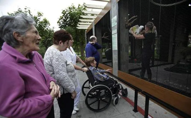 Las aves expuestas sirven también para terapia asistida con los mayores de la residencia. 