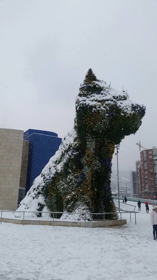 Las instantáneas captadas por los lectores de elcorreo.com de la nevada del 28 de febrero de 2018