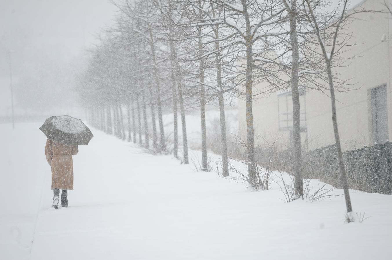 Fotos: Álava despide febrero bajo la nieve