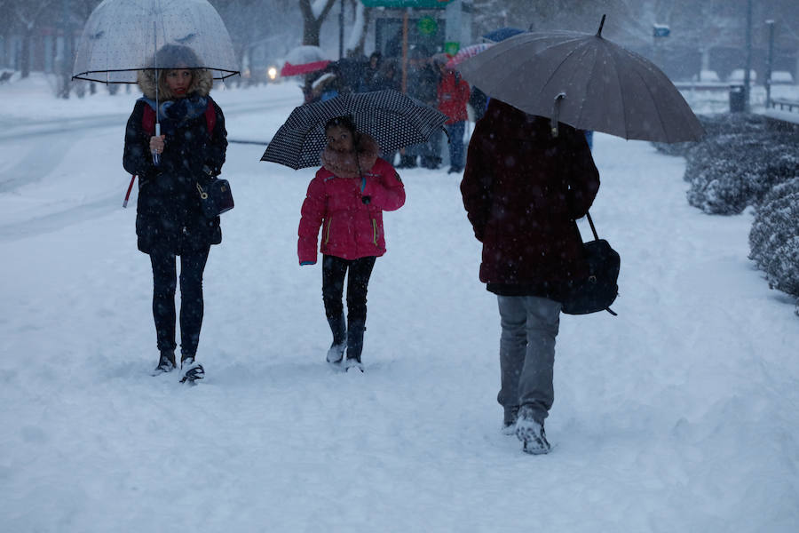 Fotos: Álava despide febrero bajo la nieve