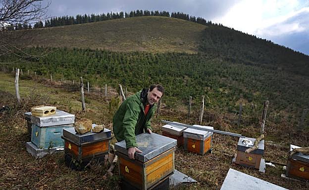 Iñigo Macías: «Desde que me picaron las abejas, sólo pensaba en tener colmenas»