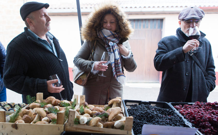 Fotos: Fiesta del aceite de Rioja Alavesa