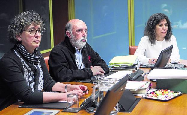 Francisco Etxeberria, director del informe, compareció ayer en el Parlamento vasco. 