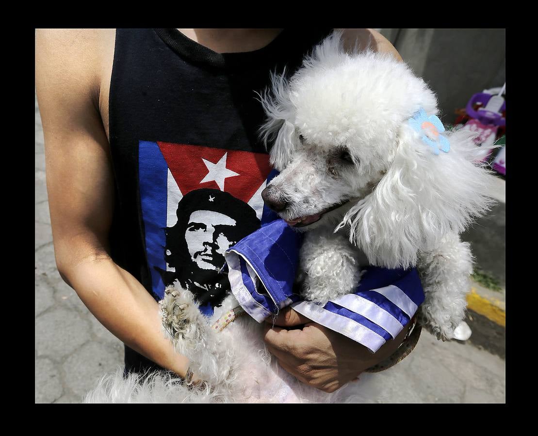 En Nicaragua, Lázaro es venerado como el santo de las mascotas. Hace unos días, decenas de canes, vestidos como jugadores de fútbol, policías, bailarinas, con lazos o gorras, acudieron en procesión, acompañados por sus dueños, a la iglesia Santa María Magdalena, en la ciudad de Masaya, al sureste de Managua. La tradicional comitiva reúne cada año a personas de distintas partes del país con el objeto de presentar sus mascotas enfermas al santo y agradecerle su cura. San Lázaro, según el pasaje bíblico, padeció lepra y los perros le curaron lamiéndole las heridas. De ahí su consideración como patrón de los canes.