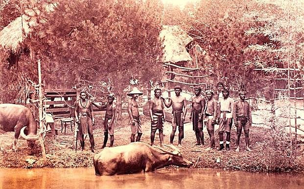 Indígenas filipinos –igorrotes, tinguianes, carolinos y negritos– y búfalos acuáticos, en la recreación de un poblado montada en el parque madrileño del Retiro en 1887. /