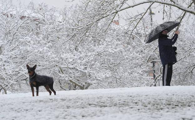 Estampa invernal tomada esta martes en Vitoria.