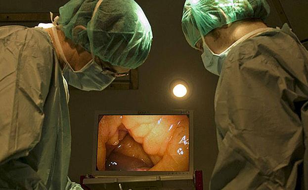 Un paciente se somete a un trasplante renal en el hospital universitario de La Paz, en Madrid. 