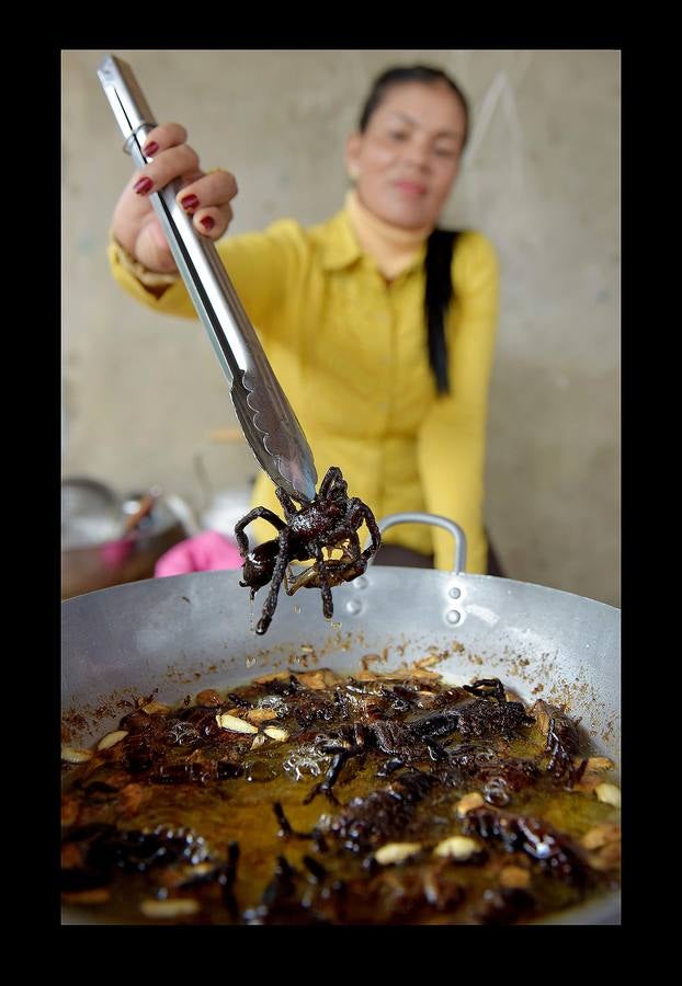 Un plato lleno de peludas tarántulas del tamaño de un puño resulta en Camboya un preciado manjar, en especial cuando se preparan fritas, con ajo, en una olla chisporroteante. Pero el disfrute de esta gollería, que algunos comparan con el delicado sabor del cangrejo, está en peligro. Las junglas donde habitan estos arácnidos desaparecen lentamente. Camboya, con una de las tasas de deforestación más rápidas del mundo, ha perdido el 20 % de su masa forestal desde 1990.