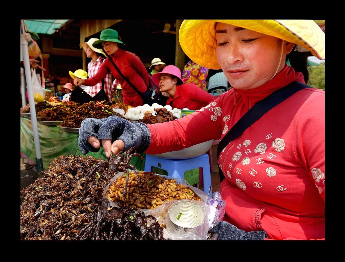 Un plato lleno de peludas tarántulas del tamaño de un puño resulta en Camboya un preciado manjar, en especial cuando se preparan fritas, con ajo, en una olla chisporroteante. Pero el disfrute de esta gollería, que algunos comparan con el delicado sabor del cangrejo, está en peligro. Las junglas donde habitan estos arácnidos desaparecen lentamente. Camboya, con una de las tasas de deforestación más rápidas del mundo, ha perdido el 20 % de su masa forestal desde 1990.