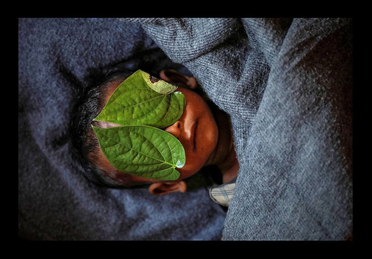 El rostro de un niño de 11 meses se cubre con dos hojas de betel, después de morir luchando contra una fiebre alta y tos en el campo de refugiados de Balukhali cerca de Cox's Bazar (Bangladés) el 4 de diciembre de 2017.