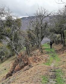 Imagen secundaria 2 - Montes que rodean Valvanera. Hospedería de Valvanera y camino etre encimas.