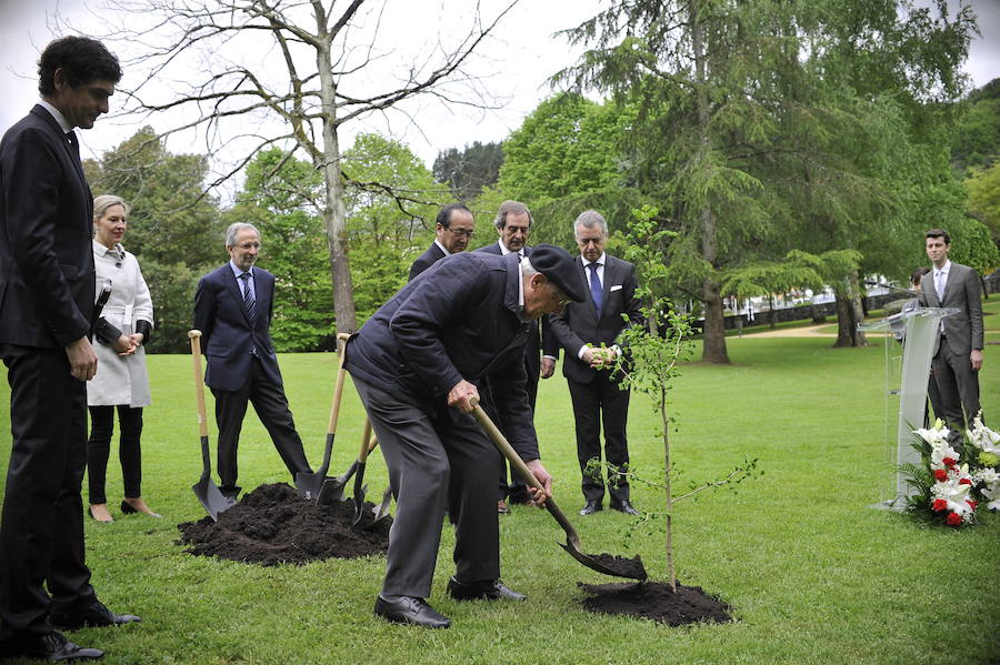 Han plantado un retoño del Ginkgoa Biloba, el único árbol que sobrevivió a la bomba atómica