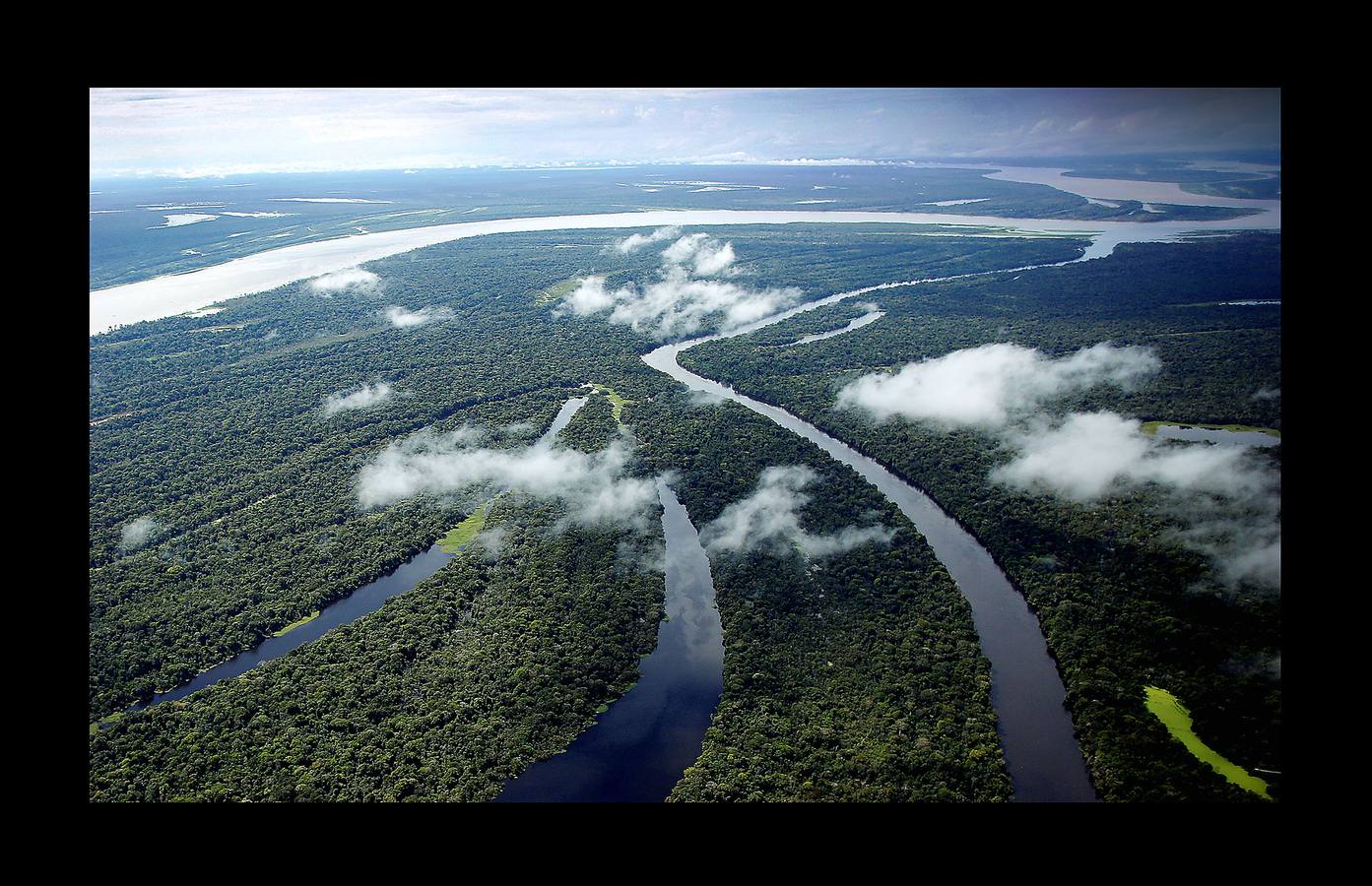 En Brasil el jaguar es una especie a la que no sólo amenazan los cazadores y la destrucción de su hábitat, sino también las inundaciones en el Amazonas. El proyecto Laurete (algunas de cuyas actividades vemos en las fotografías) investiga cómo resiste esta especie en las copas de los árboles, donde se refugian y alimentan a sus crías entre abril y julio, mientras el suelo de la selva tropical se mantiene cubierta de agua. Los «jaguares pintados» llamados así por su pelaje poblado de intrincadas manchas son difíciles de ver en la espesura, pero los investigadores les colocan rastreadores que pueden identificarlos desde las pequeñas embarcaciones con las que se desplazan a través de la jungla inundada.