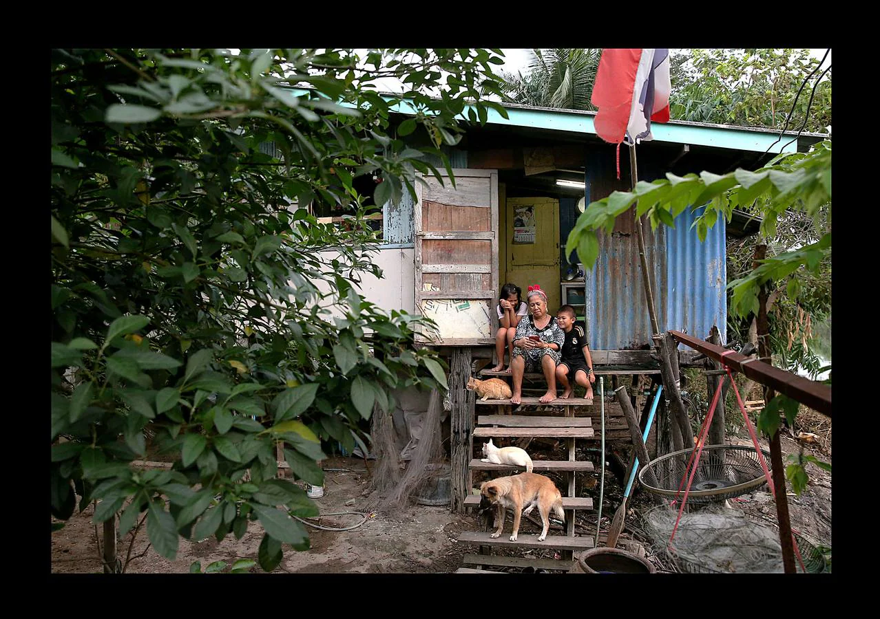 Un grupo de sexagenarias, con uniformes rojos y blancos, sonríen en el autobús que les conduce a la escuela. En Ayutthaya, una provincia de Tailandia, el país que envejece más rápido junto con China, hace no mucho tiempo los ancianos vivían con sus familias y eran cuidados por sus hijos. Pero el progresivo abandono del campo para trabajar en las ciudades ha hecho crecer el número de mayores que viven solos. Escuelas como la de Ayutthaya, ubicada 80 kilómetros al norte de Bangkok, que ofrecen clases semanales durante tres meses, son la manera como el gobierno proporciona alivio a la envejecida población contra el estrés de vivir solos.
