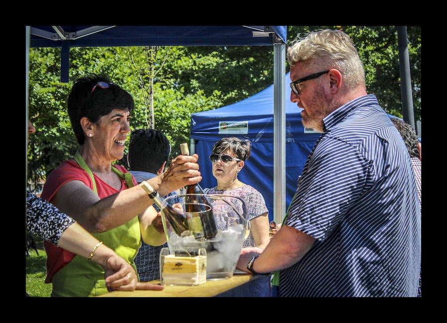 Fotos: Amurrio celebra la vigésima edición del Txakoli Eguna