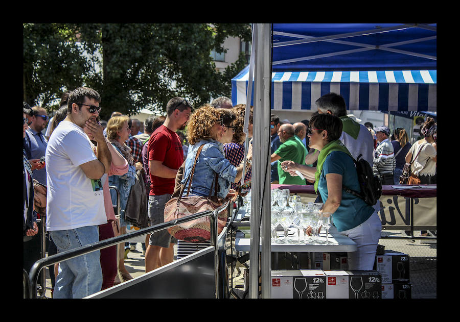 Fotos: Amurrio celebra la vigésima edición del Txakoli Eguna