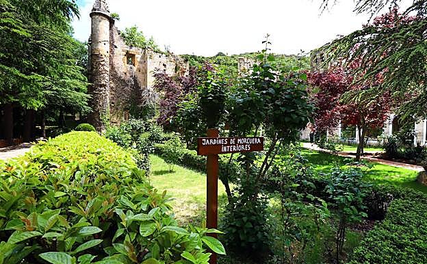 La intervención en los jardines está finalizada.