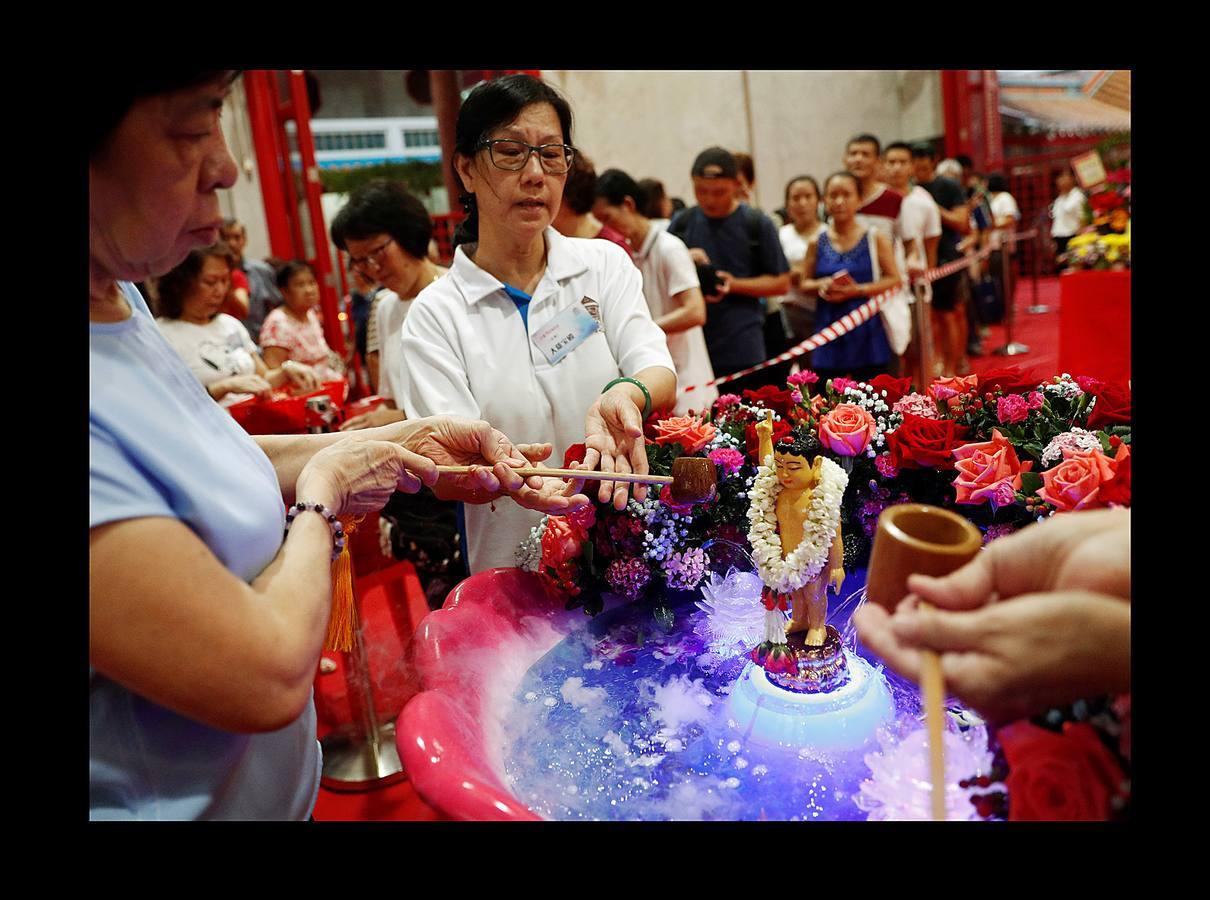 El Vesak, el día del plenilunio en el mes de mayo, es la fecha más destacada para millones de budistas de todo el mundo. Hace 2.500 años, más exactamente en el 623 A.C., nació Buda, en ese mismo día alcanzó la iluminación y también en ese mismo día falleció, a los 80 años de edad. En todos los países de Asia con fuerte presencia del budismo suele ser festivo y quienes lo profesan hacen ofrendas y acuden a los templos para celebrar su mensaje de compasión, devoción y servicio a la Humanidad. En las imágenes se recogen aspectos de esta celebración en Singapur, Indonesia y China.