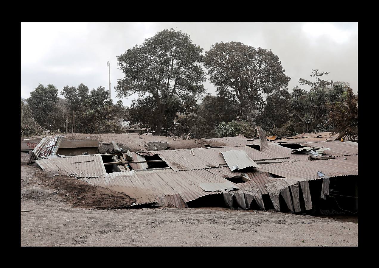 Los niños abandonaron los juguetes, la ropa quedó colgada en los tendederos de los patios traseros y los animales murieron petrificados. Después de la erupción, el exuberante paisaje verde se convirtió en un cementerio gris polvoriento, envuelto en un persistente olor a azufre... Toneladas de árboles, rocas y gases tóxicos se deslizaron por los flancos del Volcán de Fuego formando lo que se conoce como «flujo piroclástico,» que alcanza velocidades más rápidas y letales que la lava. Cuando las familias de las aldeas más afectadas -El Rodeo y San Miguel de Los Lotes, en el centro de Guatemala- se dieron cuenta de lo que sucedía, no tuvieron tiempo de huir. 