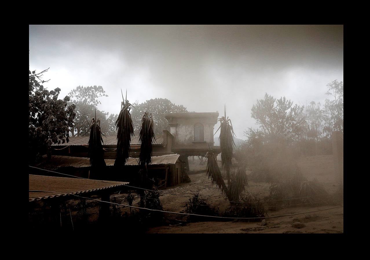 Los niños abandonaron los juguetes, la ropa quedó colgada en los tendederos de los patios traseros y los animales murieron petrificados. Después de la erupción, el exuberante paisaje verde se convirtió en un cementerio gris polvoriento, envuelto en un persistente olor a azufre... Toneladas de árboles, rocas y gases tóxicos se deslizaron por los flancos del Volcán de Fuego formando lo que se conoce como «flujo piroclástico,» que alcanza velocidades más rápidas y letales que la lava. Cuando las familias de las aldeas más afectadas -El Rodeo y San Miguel de Los Lotes, en el centro de Guatemala- se dieron cuenta de lo que sucedía, no tuvieron tiempo de huir. 