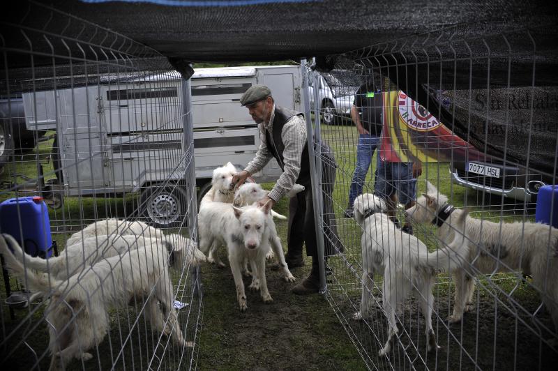 La localidad vizcaína de Dima acoge hoy la XXVI edición del día del Cazador y Pescador. Cientos de personas han acudido a la cita que aúna las reivindicaciones del colectivo con distintas actividades de caráter lúdico