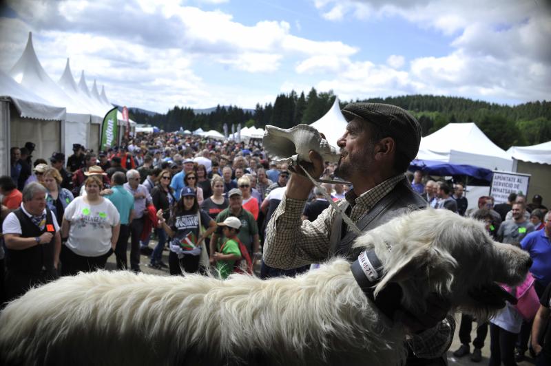 La localidad vizcaína de Dima acoge hoy la XXVI edición del día del Cazador y Pescador. Cientos de personas han acudido a la cita que aúna las reivindicaciones del colectivo con distintas actividades de caráter lúdico