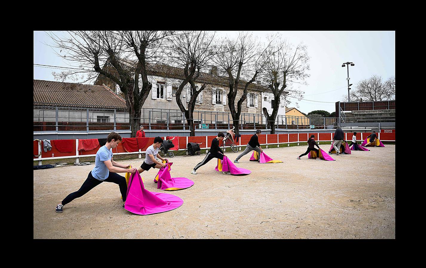 Parte de la vida en las pequeñas ciudades de la Camarga, en Francia, gira en torno a los toros y cada pueblo tiene su propio festival taurino en verano, con corridas y muchos eventos en las calles. En Le Cailar, una localidad en el distrito de Nimes, un monumento funerario recuerda con una fotografía a «Le Sanglier,» un toro de lidia, que vivió entre 1916 y 1933. El Centro Francés de Tauromaquia sigue cultivando la pasión por la tauromaquia, y cada miércoles y sábado organiza una práctica con jóvenes aficionados en la placita de Garons, cerca de Nimes. Las fotografías han sido tomadas en esta localidad y en Franquevaux.