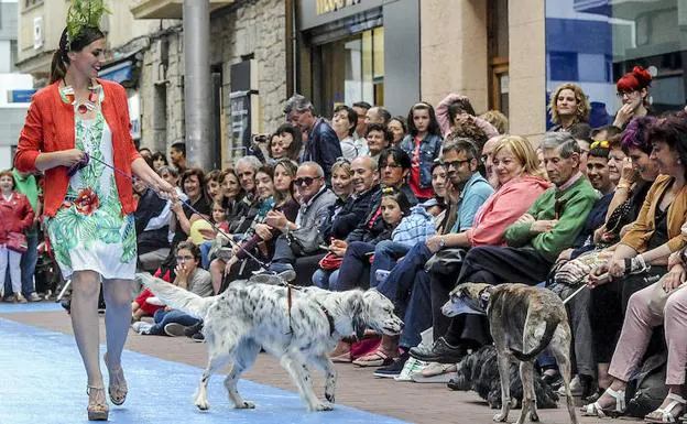 Mascotas desfilan por la calle Juan II, en Vitoria.