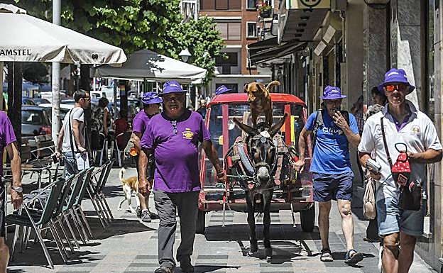 Ginés pasea por Santurtzi con su burra y su perro. 