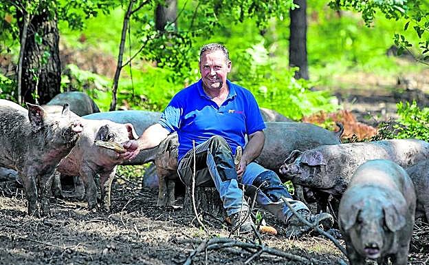 Karlos Ibarrondo con sus cerdos, criados al aire libre, en Elorrio.