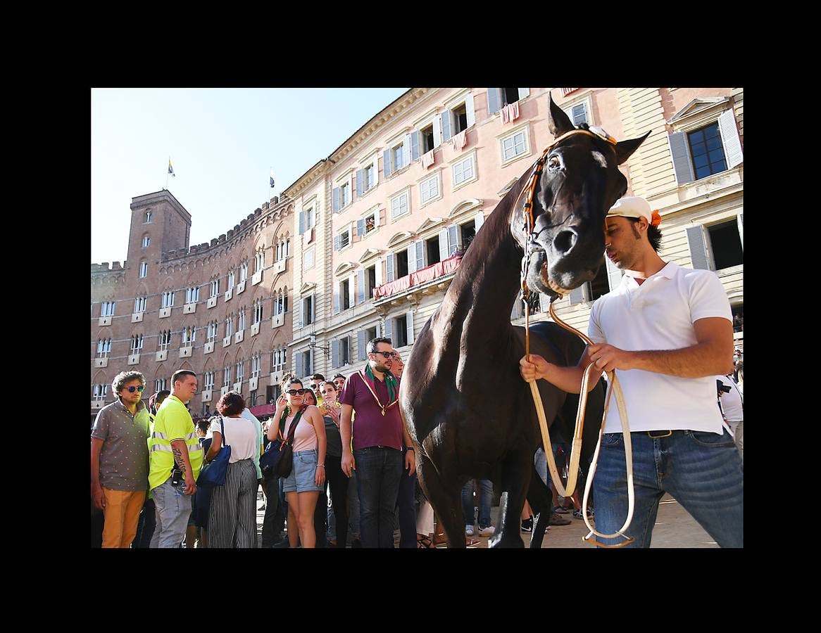 En la Piazza del Campo, en pleno corazón de Siena, en la Toscana, se celebra cada año, en dos ocasiones (las fotografías se tomaron el 2 de julio), la carrera de caballos de origen medieval conocida como «Il Palio.» La ciudad se engalana con estandartes, blasones y guirnaldas para celebrar tres días de alegría durante los cuales, además de participar en las bendiciones de los animales, es posible disfrutar de música y conciertos. En la carrera participan diez caballos, que representan a alguna de las «contradas» o distritos de la ciudad, y han de dar tres vueltas completas a la Piazza del Campo. El primero en terminarlas, con o sin jinete, será el ganador.