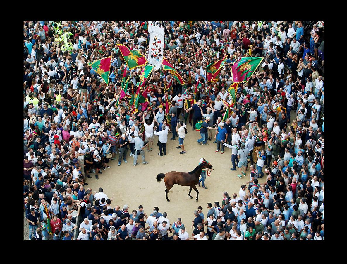 En la Piazza del Campo, en pleno corazón de Siena, en la Toscana, se celebra cada año, en dos ocasiones (las fotografías se tomaron el 2 de julio), la carrera de caballos de origen medieval conocida como «Il Palio.» La ciudad se engalana con estandartes, blasones y guirnaldas para celebrar tres días de alegría durante los cuales, además de participar en las bendiciones de los animales, es posible disfrutar de música y conciertos. En la carrera participan diez caballos, que representan a alguna de las «contradas» o distritos de la ciudad, y han de dar tres vueltas completas a la Piazza del Campo. El primero en terminarlas, con o sin jinete, será el ganador.