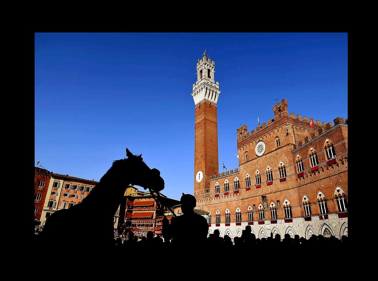 En la Piazza del Campo, en pleno corazón de Siena, en la Toscana, se celebra cada año, en dos ocasiones (las fotografías se tomaron el 2 de julio), la carrera de caballos de origen medieval conocida como «Il Palio.» La ciudad se engalana con estandartes, blasones y guirnaldas para celebrar tres días de alegría durante los cuales, además de participar en las bendiciones de los animales, es posible disfrutar de música y conciertos. En la carrera participan diez caballos, que representan a alguna de las «contradas» o distritos de la ciudad, y han de dar tres vueltas completas a la Piazza del Campo. El primero en terminarlas, con o sin jinete, será el ganador.