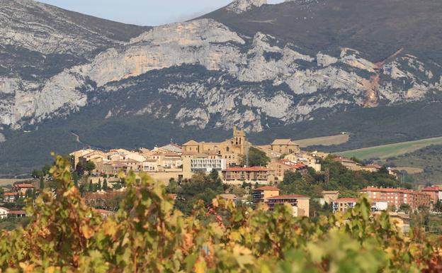 'Música entre viñedos' recorrerá diez localidades de la Rioja Alavesa.