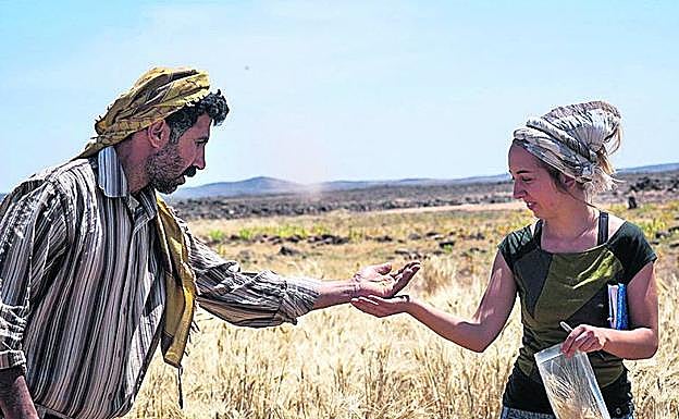 Arranz Otaegui y un colaborador toman muestras de cereales.