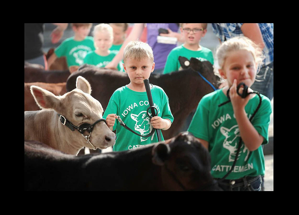 Marengo es una pequeña localidad en el estado de Iowa de alrededor de 2.600 habitantes que, como tantas otras en el medio oeste norteamericano, celebra su tradicional feria de ganado. Los granjeros del estado temen que los efectos de una guerra comercial con China pueda resultar comercialmente devastadora para una economía que viene experimentando un descenso de beneficios desde hace una década y se preparan para el futuro. La celebración de esta feria busca nutrir de conocimientos a una nueva generación de granjeros mediante la enseñanza de los fundamentos en el cuidado y la crianza del ganado.