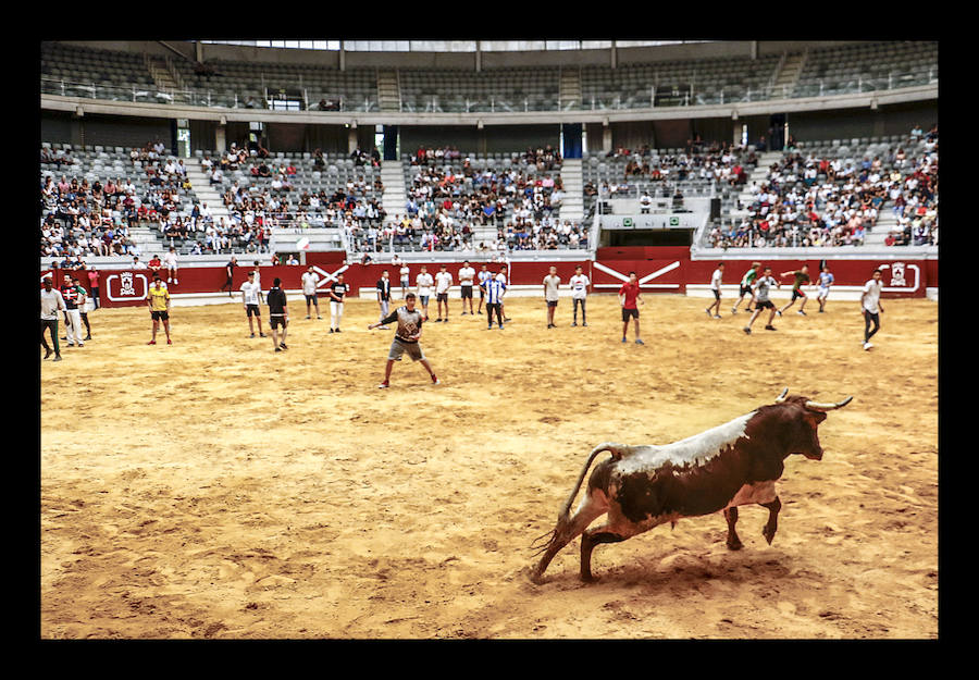 La ofrenda floral, las dianas, la carrera de barricas, las vaquillas... Un sinfín de actividades han servido para divertir a los vitorianos durante este 25 de julio