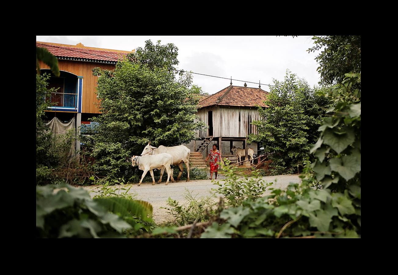 En Camboya, las trabajadoras de las industrias que abastecen a algunas de las marcas deportivas más conocidas trabajan diez horas diarias seis días a la semana. Según datos de 2016 más de 500 empleados de las principales factorías sufrieron desvanecimientos como consecuencia de las malas condiciones de trabajo, entre las que se incluyen las elevadas temperaturas. El salario mensual mínimo en Camboya es de unos 130 euros y dos horas extras al día lo elevan a 150 ó 200, dependiendo de la fábrica. Camboya tenía un total de 1.522 factorías registradas en 2017, un 37 por ciento más que hace cinco años, un crecimiento que se detuvo el año pasado.