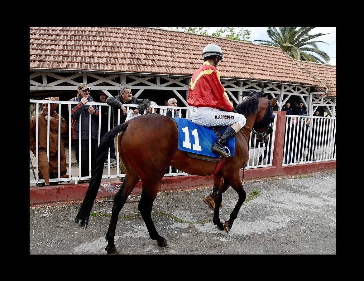 Hasta comienzos de la década de 1980 todos los fines de semana el hipódromo Caroubier, en Argel, recibía la visita de numerosos apostadores y espectadores entusiastas. Pero la equitación ha ido languideciendo en el país y el estadio, cuyas primeras carreras se remontan a 1909, durante la colonización francesa, fue perdiendo esplendor. La guerra civil en los 90 y el aumento del sentimiento religioso acabaron convirtiendo las pistas de carreras en lugares de pecado donde el juego estaba prohibido. Poco queda de un recinto que fue conocido como el «Petit Longchamp» en referencia a su homólogo parisino.