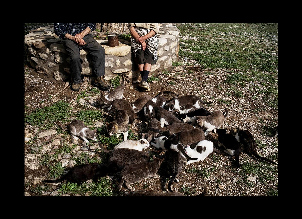 Durante más de 30 años, Juan Martín Colomer y su esposa Sinforosa Sancho han vivido solos en La Estrella, un pueblo del noreste de Aragón, con una densidad de población inferior a 8 habitantes por kilómetro cuadrado. «Todos se han ido, somos los tontos que nos hemos quedado -ríe Sinforosa, que acaba de cumplir 85 años-. Tenemos gallinas, conejos, tierra y cuando hace frío prendemos fuego y dormimos bajo mantas.» Algunos estudios apuntan que esta zona de España, dos veces mayor que Bélgica, se convertirá en la menos poblada de Europa en poco tiempo. «Si no hay niños no hay vida -dice Juan Martín-, pero hemos crecido en soledad y nos gusta. La Estrella morirá con nosotros.»