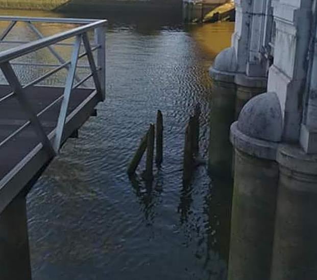 Pilotes de madera antiguos bajo la ría.