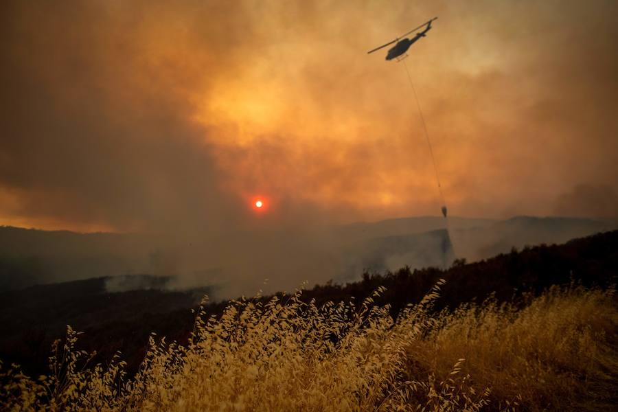 Fotos: California, ante el peor incendio de su historia